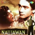 Dekho Dekho Ji - Naujawan