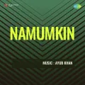 Beet Gaya Din Raha Takat - Namumkin