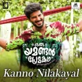 Kanno Nilakayal