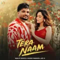 Tera Naam - Manjit Sahota