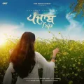 Panjab Trip - Pavitar Lassoi MP3 Song Download