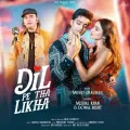 DIL PE THA LIKHA - Arafat Mehmood