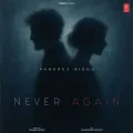 Never Again - Rangrez Sidhu