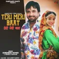 Teri Meri Baat Album Cover