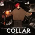 Collar - Prabhjot Marahar