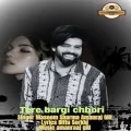 Tere Bargi Chhori