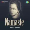Dil Ke Pat Khol Ke Dekho - Namaste
