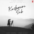 Kashmiri Seb - Wazir Patar Mp3 Song Free Download