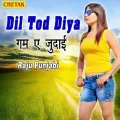 Dil Tod Diya