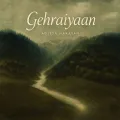 Gehraiyaan - Aditya Narayan