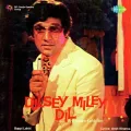Hathon Mein Mere Bhi Mehndi - Dilsey Miley Dil