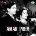 Chidiya Hoon Main Aandhi Mein - Amar Prem
