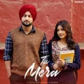 Tu Mera - Mixsingh Play mp3 song