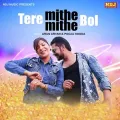 Tere Mithe Mithe Bol Album Cover