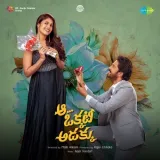 Aa Okkati Adakku Album