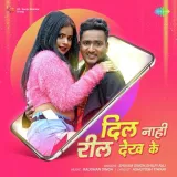 Dil Nahi Reel Dekh Ke