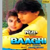 Baaghi - A Rebel For Love Album