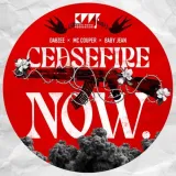 Ceasefire Now Album