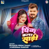 Pink Colour Saree Album