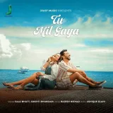 Tu mil gaya