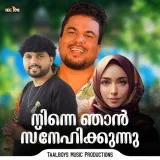 Ninne Njan Snehikunnu Album