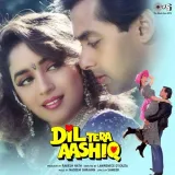 Dil Tera Aashiq Album