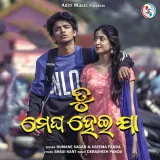 Tu Megha Heija Album