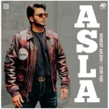 Asla
 - Mankirt Aulakh Album