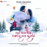 To Bina Kichhi Parena Bhabi Album