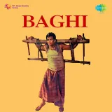 Baghi Album