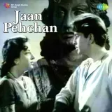 Dukh Se Bhara Hua Hai Dil - Jan Pehchan