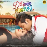 Dil Mora Manena Album