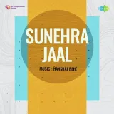 Bada Banka Mera Mehboob Hai - Sunehra Jaal