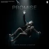 Promise Album