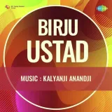 Birju Ustad Album