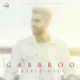 Gabbroo Album