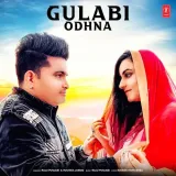 Gulabi Odhna Album
