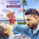 Angoor Album