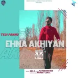 Ehna Akhiyan (feat. Tegi Pannu) Album
