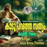 Kaadu Paranja Sathyam Album