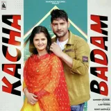 Kacha Badam Album