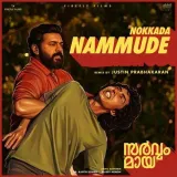 Nokkada Nammude (Remix) Malayalam