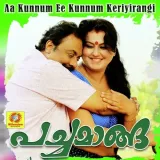 Aa Kunnum Ee Kunnum Keriyirangi Album