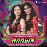 Naagin Album