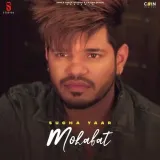 Mohabat Album