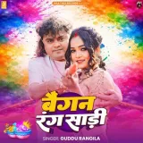 Baigan Rang Saree Album