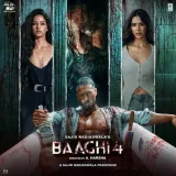 Baaghi 4 Album