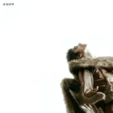 Iss Tarah
 - Chaar Diwaari Album