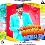 Chhota Bheem Dekh Le Album