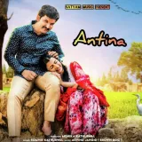 Antina Album